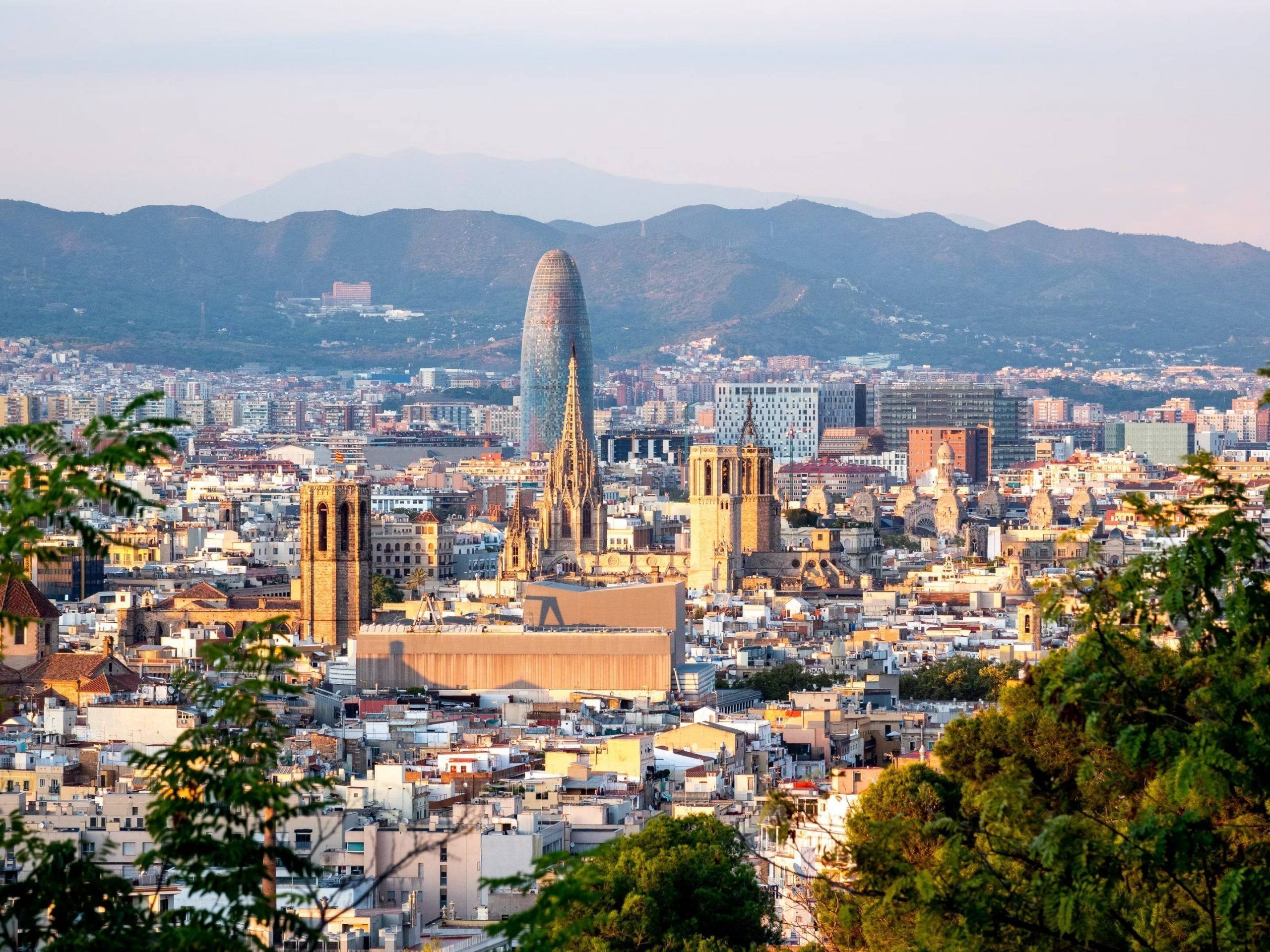 Base course on ultrasound imaging Barcelona May 23, 2026